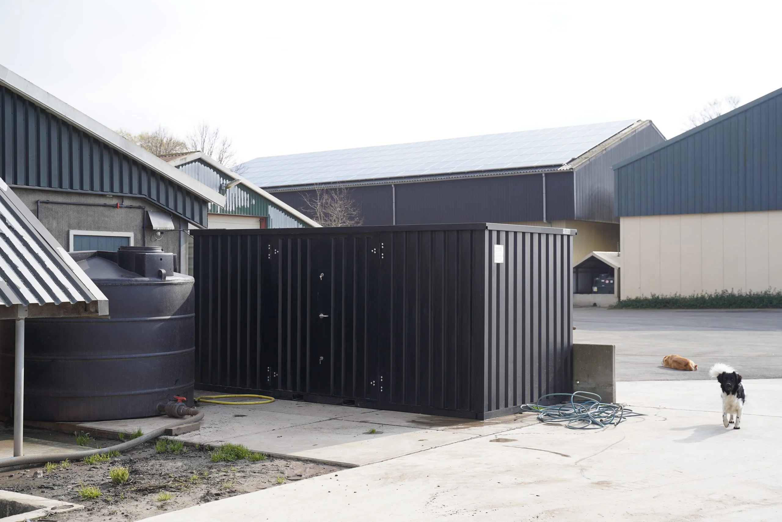 Lagercontainer 5 x 2 Meter – mit Doppeltür an der Längsseite-Neu – Bild 4